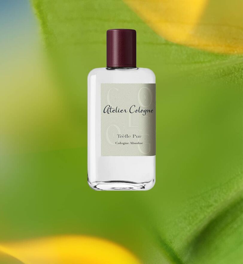 Earl Grey Perfume Natural Tea-inspired Unisex Fragrance 